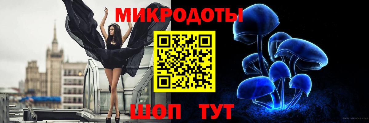 Галлюциногенные грибы мицелий Санкт-Петербург